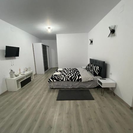 Sergiu'S Rooms Тэлмачу Экстерьер фото