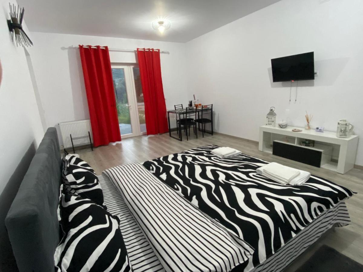 Sergiu'S Rooms Тэлмачу Экстерьер фото