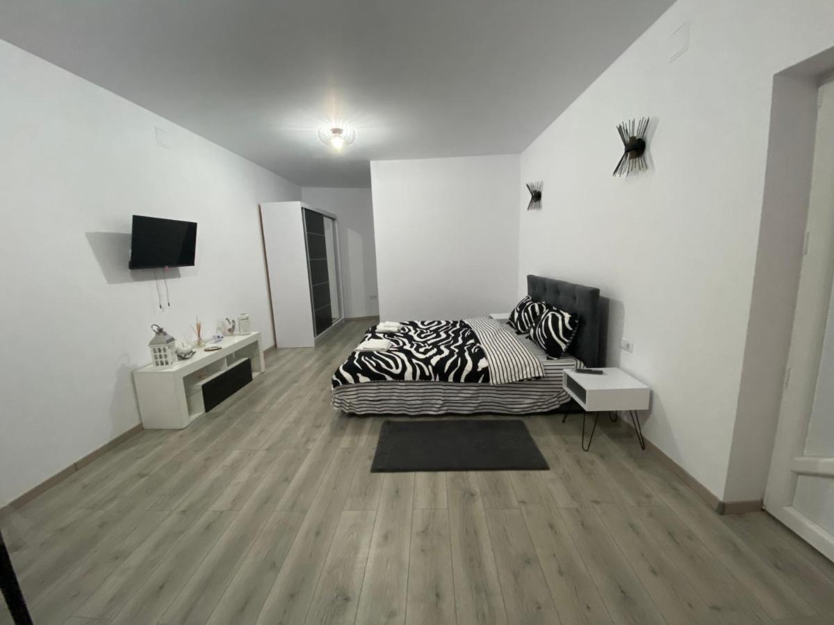 Sergiu'S Rooms Тэлмачу Экстерьер фото