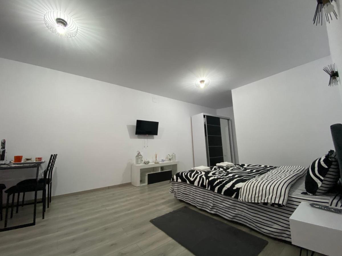 Sergiu'S Rooms Тэлмачу Экстерьер фото